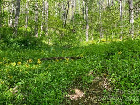 Tbd Stonegate Lane, Creston, NC 28615 photo 6