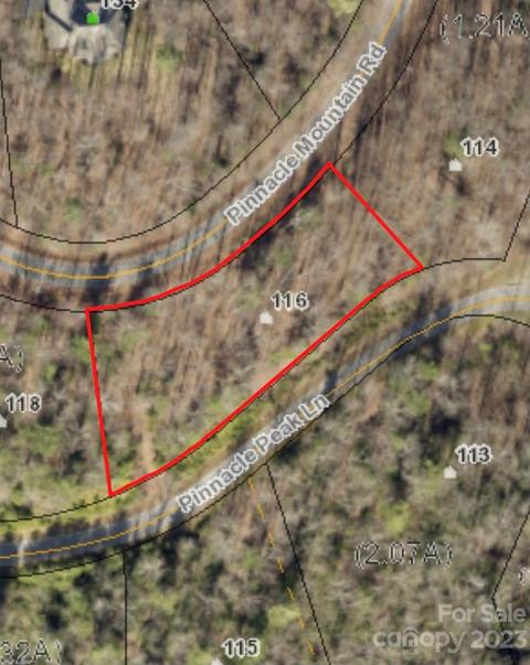 116 Pinnacle Peak Ln, Flat Rock, NC 28731