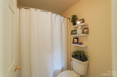 1207 Torrence Cir, Davidson, NC 28036 photo 22