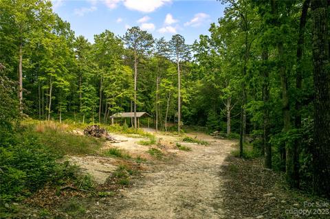 862 Solomon Jones Road #TRACT B, Cedar Mountain, NC 28718