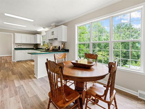 283 Circle Dr, Canton, NC 28716 photo 21