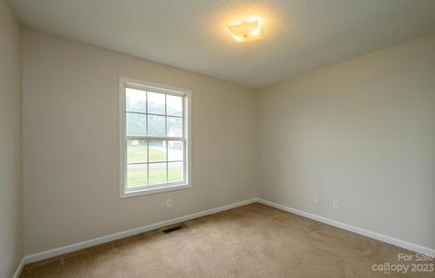 1999 Redberry Ln, Conover, NC 28613 photo 28