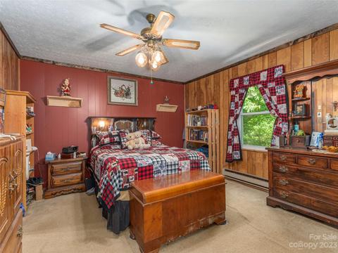 291 Dickinson Dr, Clyde, NC 28721 photo 13