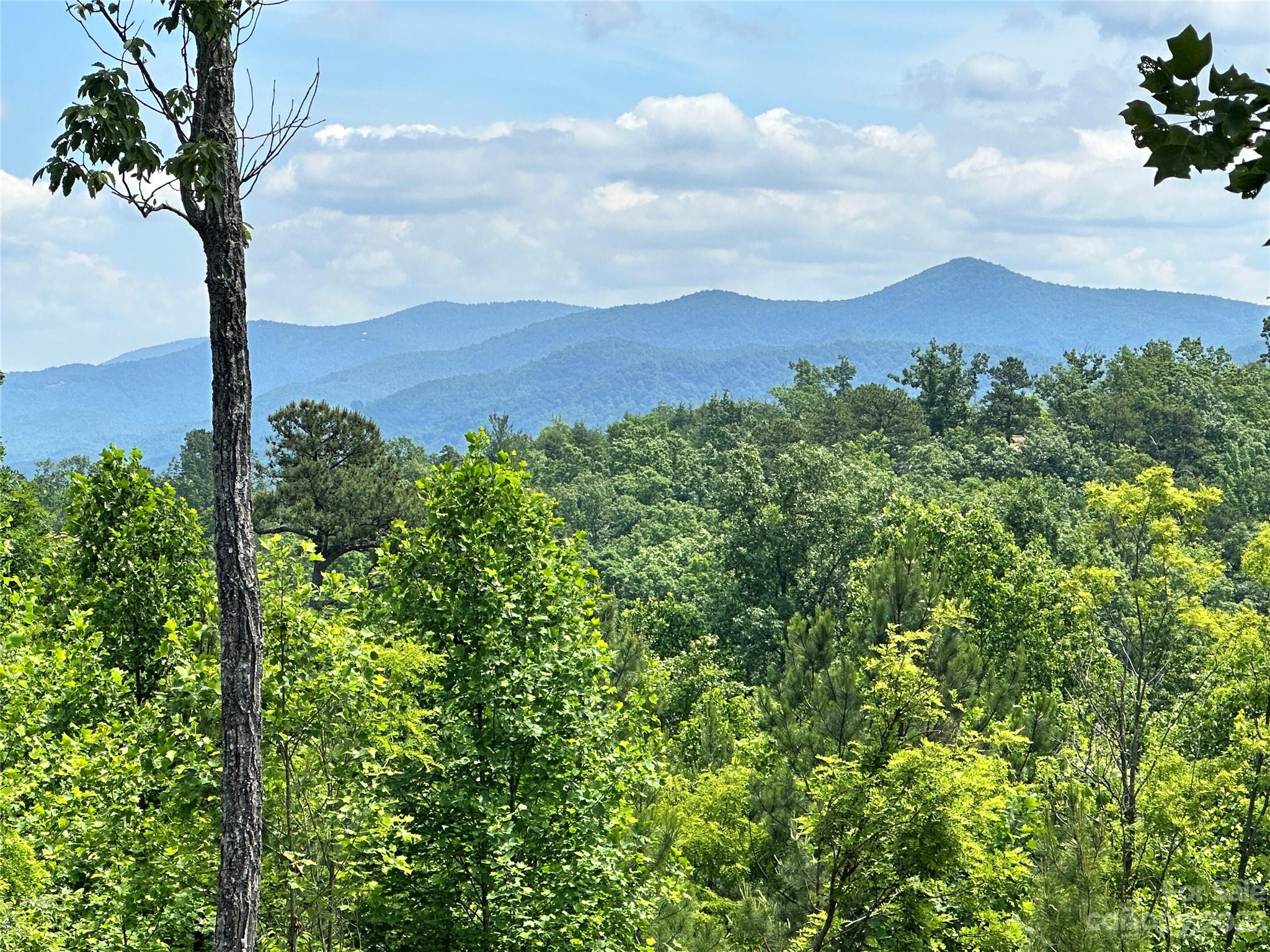 210 Stoney Creek 225 Dr Unit 225  