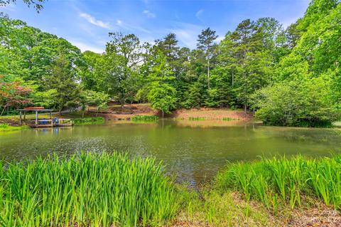 1034 Little Mountain Rd, Columbus, NC 28722