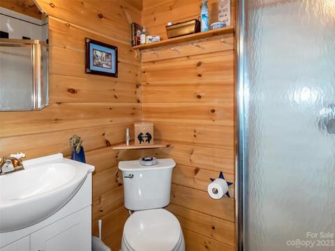 285 Grassy Gap Rd, Clyde, NC 28721 photo 13
