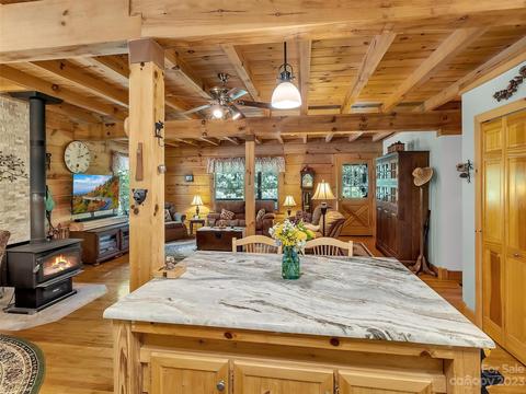 285 Grassy Gap Rd, Clyde, NC 28721 photo 7