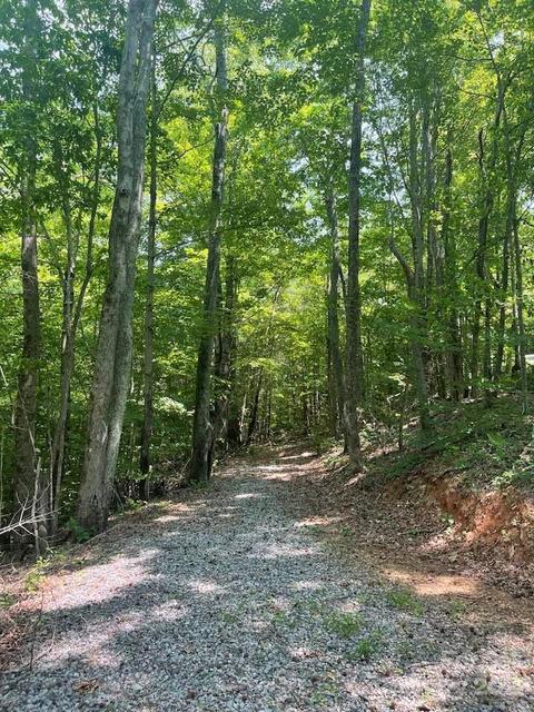 0 Cherokee 19 Cir #19, Tryon, NC 28782