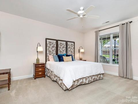 13232 Old Compton Ct, Pineville, NC 28134 photo 17