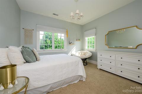 17512 Cotton Baker Ct, Cornelius, NC 28031 photo 28
