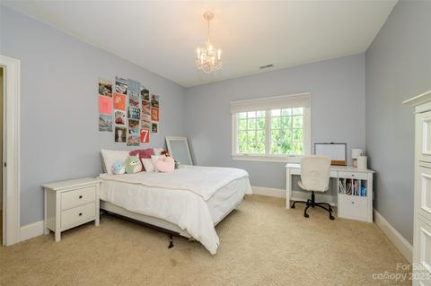 17512 Cotton Baker Ct, Cornelius, NC 28031 photo 26