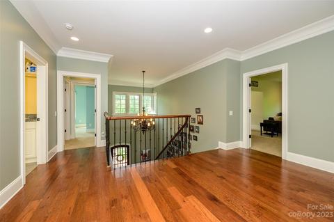 17512 Cotton Baker Ct, Cornelius, NC 28031 photo 23