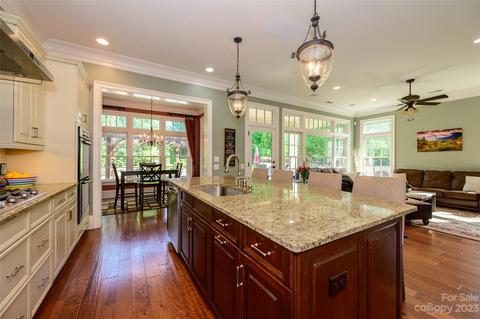 17512 Cotton Baker Ct, Cornelius, NC 28031 photo 16