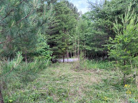 0 Bridges Farm Rd, Forest City, NC 28043