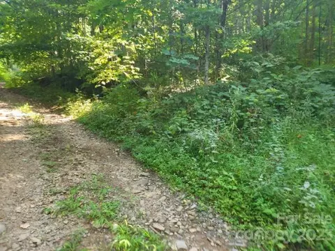 2397 Poplar Cove Rd, Clyde, NC 28721
