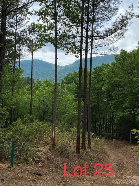 Monteith Place, Mill Spring, NC 28756