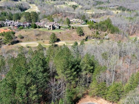 Monteith Place, Mill Spring, NC 28756 photo 10