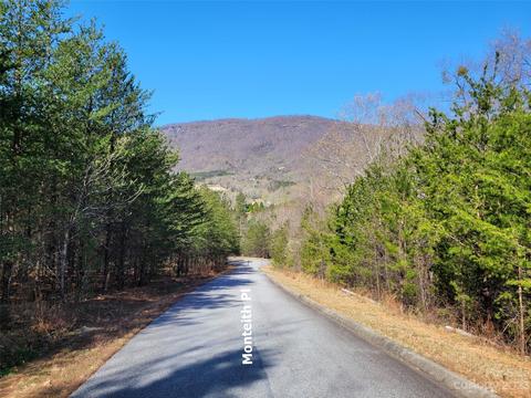 Monteith Place, Mill Spring, NC 28756 photo 3