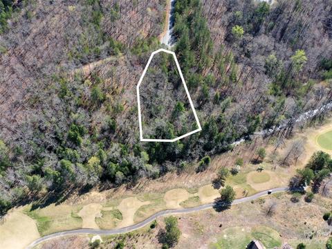 Monteith Place, Mill Spring, NC 28756 photo 7