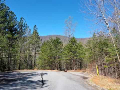 Monteith Place, Mill Spring, NC 28756 photo 2