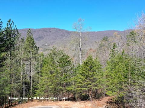 Monteith Place, Mill Spring, NC 28756 photo 4