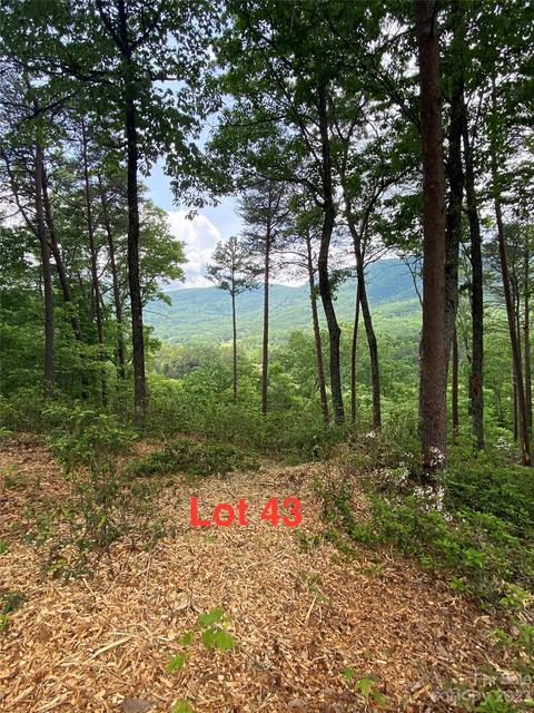 Deep Gap Farm E Road, Mill Spring, NC 28756