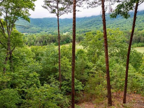 Deep Gap Farm E Road, Mill Spring, NC 28756 photo 5