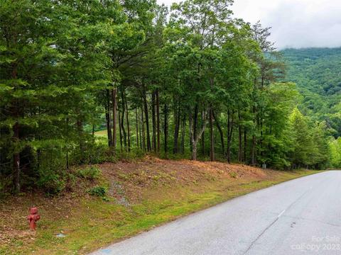 Deep Gap Farm E Road, Mill Spring, NC 28756 photo 3