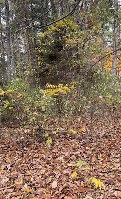 332 Vanderbilt Rd, Biltmore Forest, NC 28803