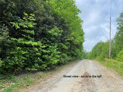 313 Williams Cir, Lake Lure, NC 28746