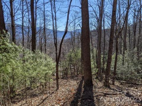 000 Dryid Hill Rd, Swannanoa, NC 28778