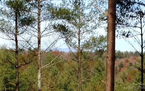 2313 Waterside Nw 52 Blvd NW #52, Valdese, NC 28690