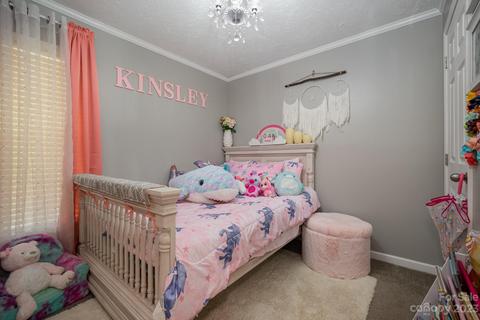 3699 E North Corner Rd, Lancaster, SC 29720 photo 21