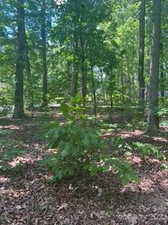 213 St Andrews Rd, Statesville, NC 28625