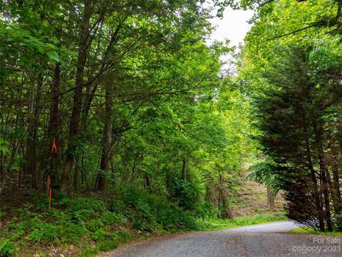 Deerwood Lane, Laurel Park, NC 28739
