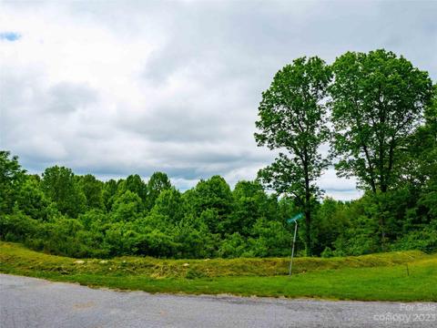 252 Pinewood Cir, Laurel Park, NC 28739