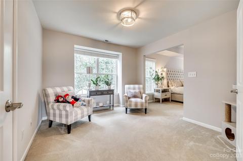 4722 Lapis Ct, Fort Mill, SC 29708 photo 21