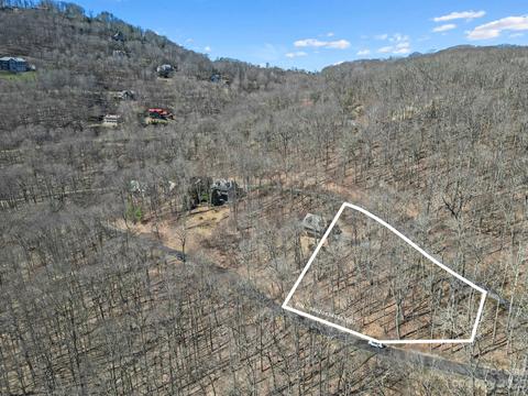 9999 Chestnut Village Ln, Mars Hill, NC 28754