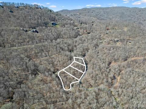 15 Chestnut Village Apt 15 Ln # 15, Mars Hill, NC 28754