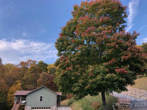 438 Hideaway Dr, Canton, NC 28716 photo 37