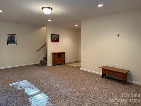 438 Hideaway Dr, Canton, NC 28716 photo 29