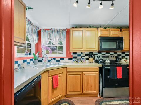 552 Azalea Cir, Marshall, NC 28753 photo 14