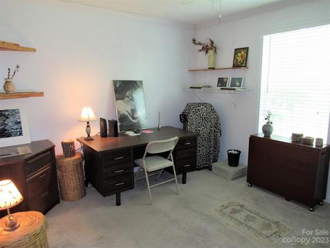 363 Maple Leaf Ln, Clyde, NC 28721 photo 26