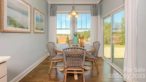4446 Streamside Rd, Denver, NC 28037 photo 23