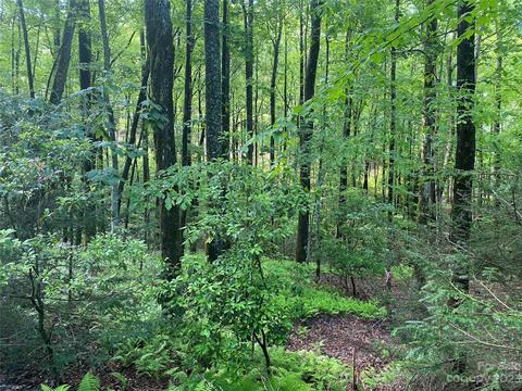 U11 L019 Selu Court, Brevard, NC 28712