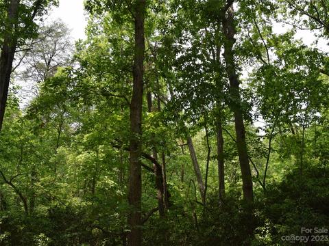 9 Club Road, Tryon, NC 28782