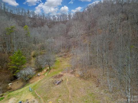 7 Pressley Mine Road, Canton, NC 28716 photo 6