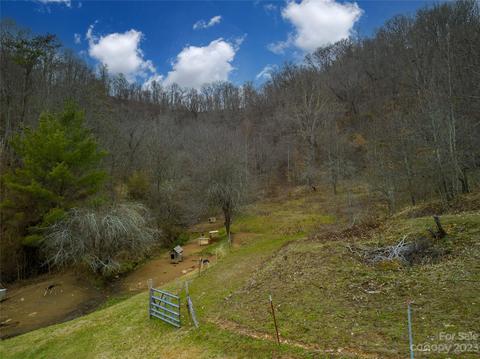 7 Pressley Mine Road, Canton, NC 28716 photo 7