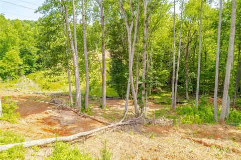 345 Squirrel Ln, Clover, SC 29710 photo 19