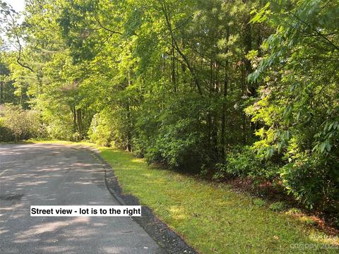 Tbd Vdali Court, Brevard, NC 28712